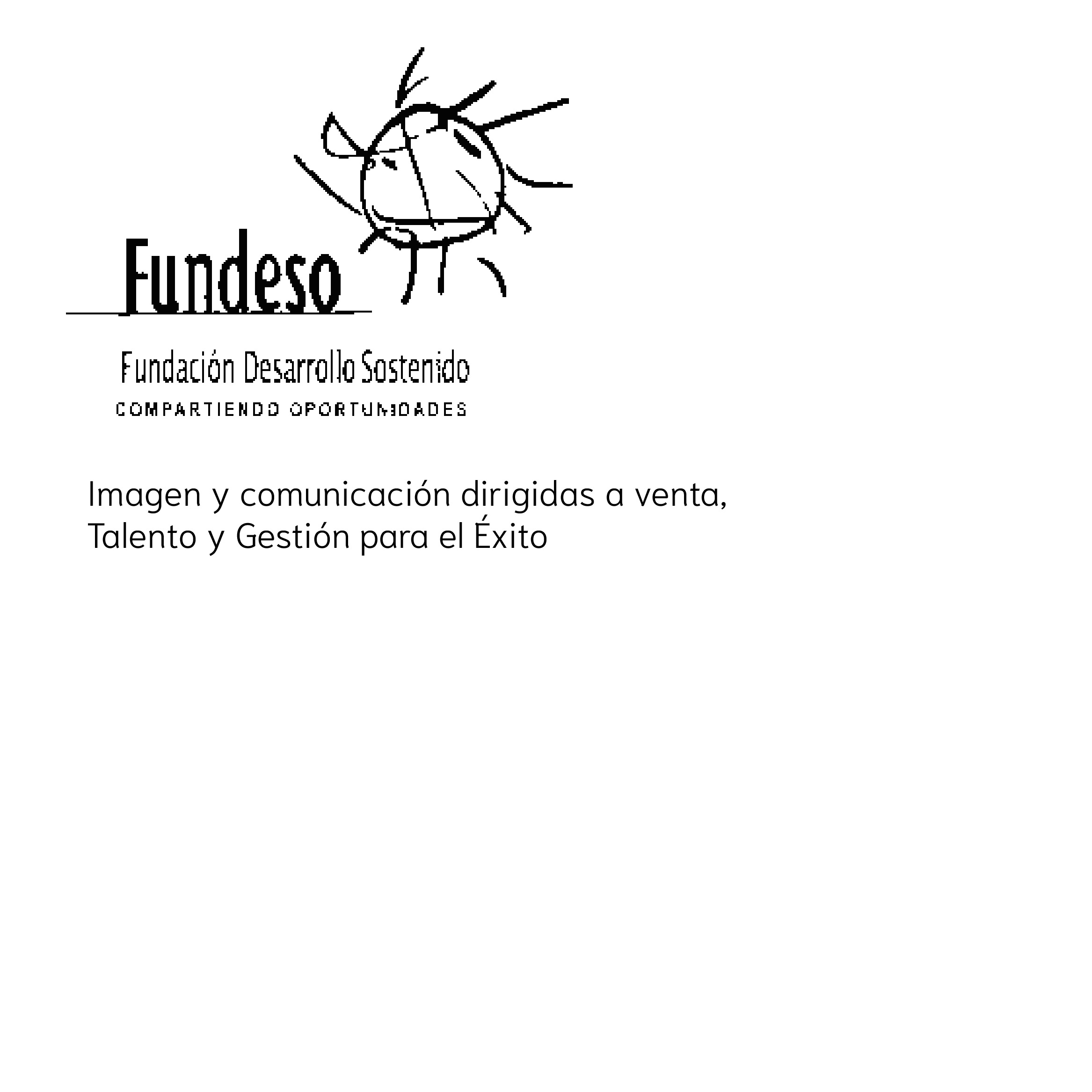 Logo Fundeso con lema sobre imagen y comunicación para el éxito